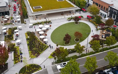 University Village: The Hidden Signs of the Village