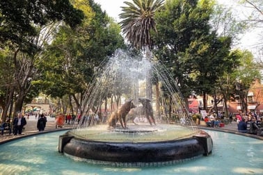 Coyotes & Colonial Secrets: A Coyoacán Puzzle Adventure