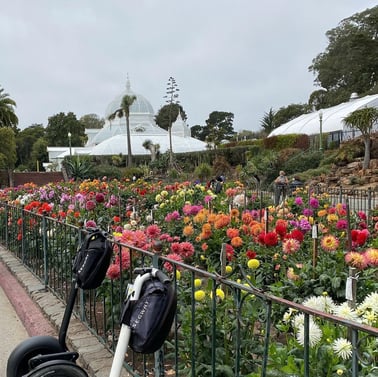 Destplore Mini Adventure: Secrets of the Conservatory