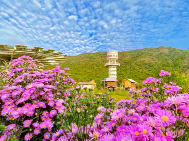 The Hidden Shipyard dev