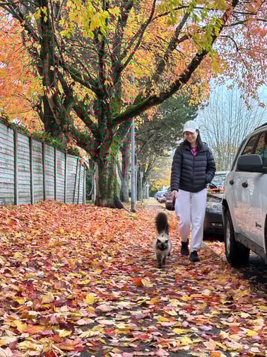 Secrets of Greenland: A Hidden Trails Adventure