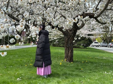 Vancouver Cherry Blossom Photo Hunt 2026