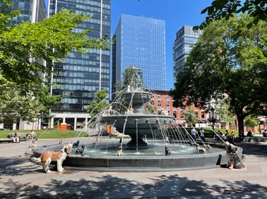 Old Toronto Mysteries: Market to Flatiron Heritage Walk