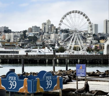 Wharf Whispers: The Pier 39 Mystery Hunt