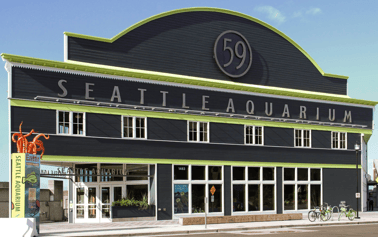 Seattle 2026 Soccer City Hunt