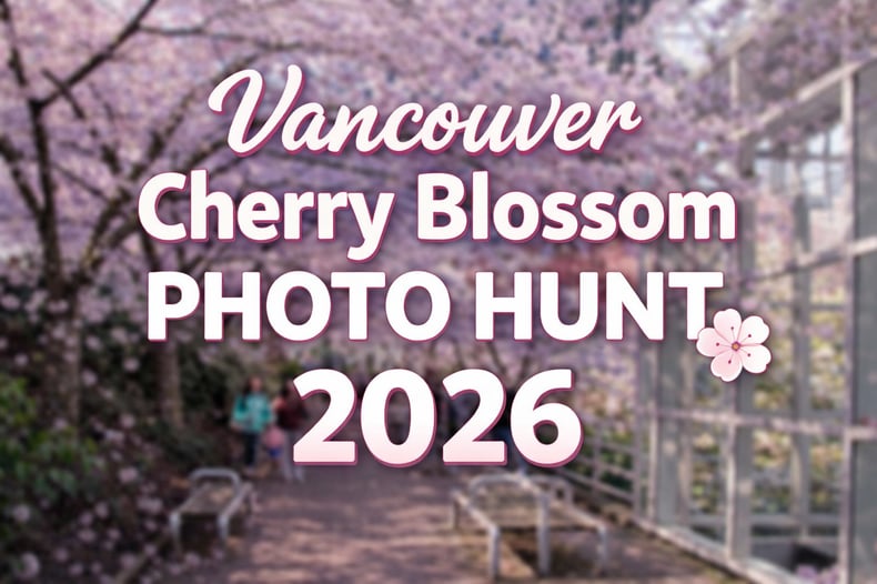 Vancouver Cherry Blossom Photo Hunt 2026