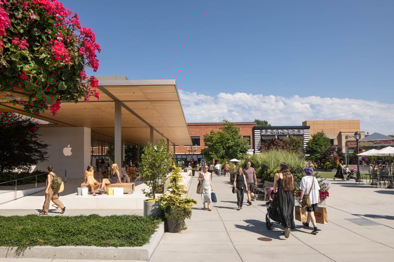 University Village: The Hidden Signs of the Village