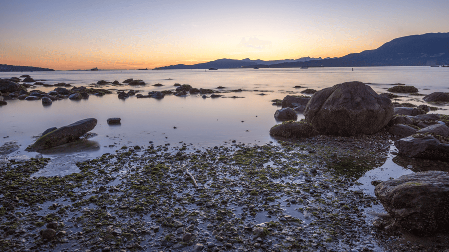 Kitsilano Beach: Outdoor Activities, Walks, and Local Life