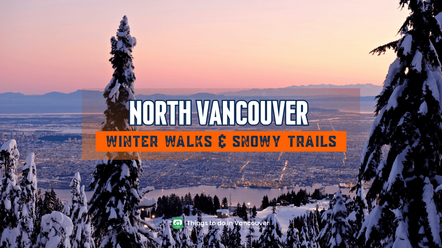 North Vancouver Outdoor Guide: Easy Nature Walks, Winter Views, and Local Trails